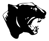 Aransas Pass Logo
